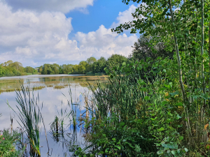 Naturbaseret Terapi kan foregå ved Ulkebøldam