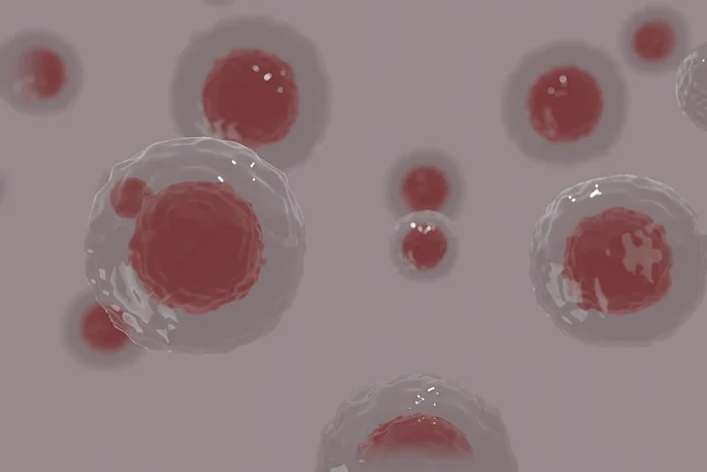 cells-5378929_640